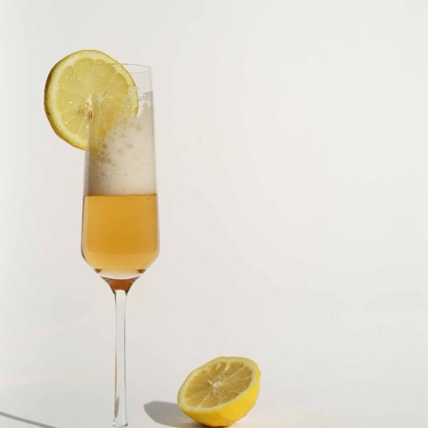 Gin Fizz