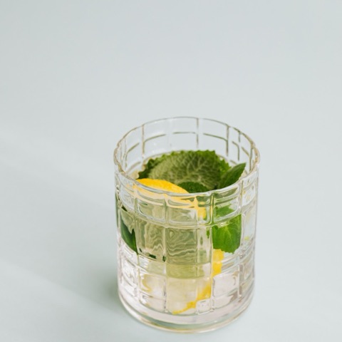 Mojito Fidel