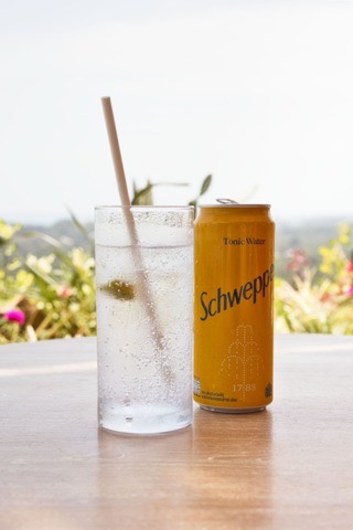 Schweppes tónica